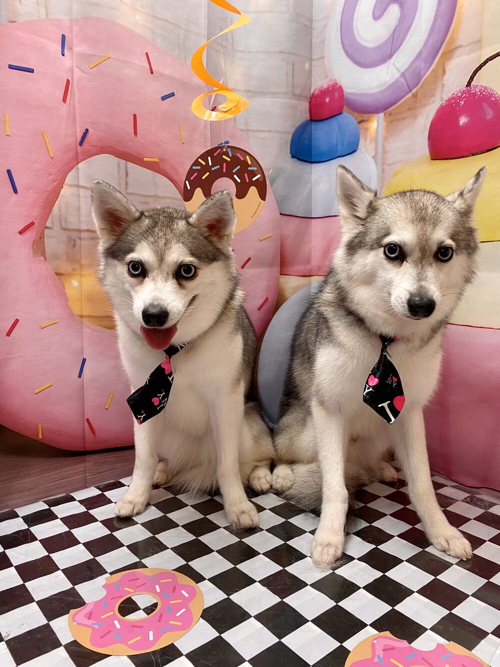 Kumar and Khaleesi in bow ties at a donut-themed photobooth